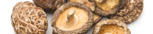 Dried Mushrooms 菇類