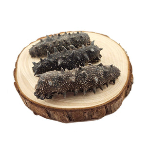 Wild Dried Prickly Sea Cucumber from South Korea (East Sea)