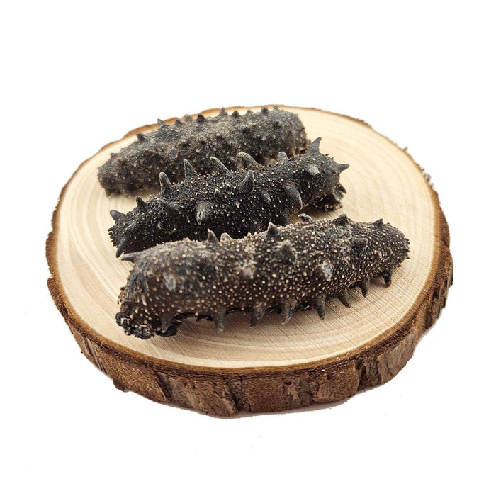 Wild Dried Prickly Sea Cucumber from South Korea (East Sea)