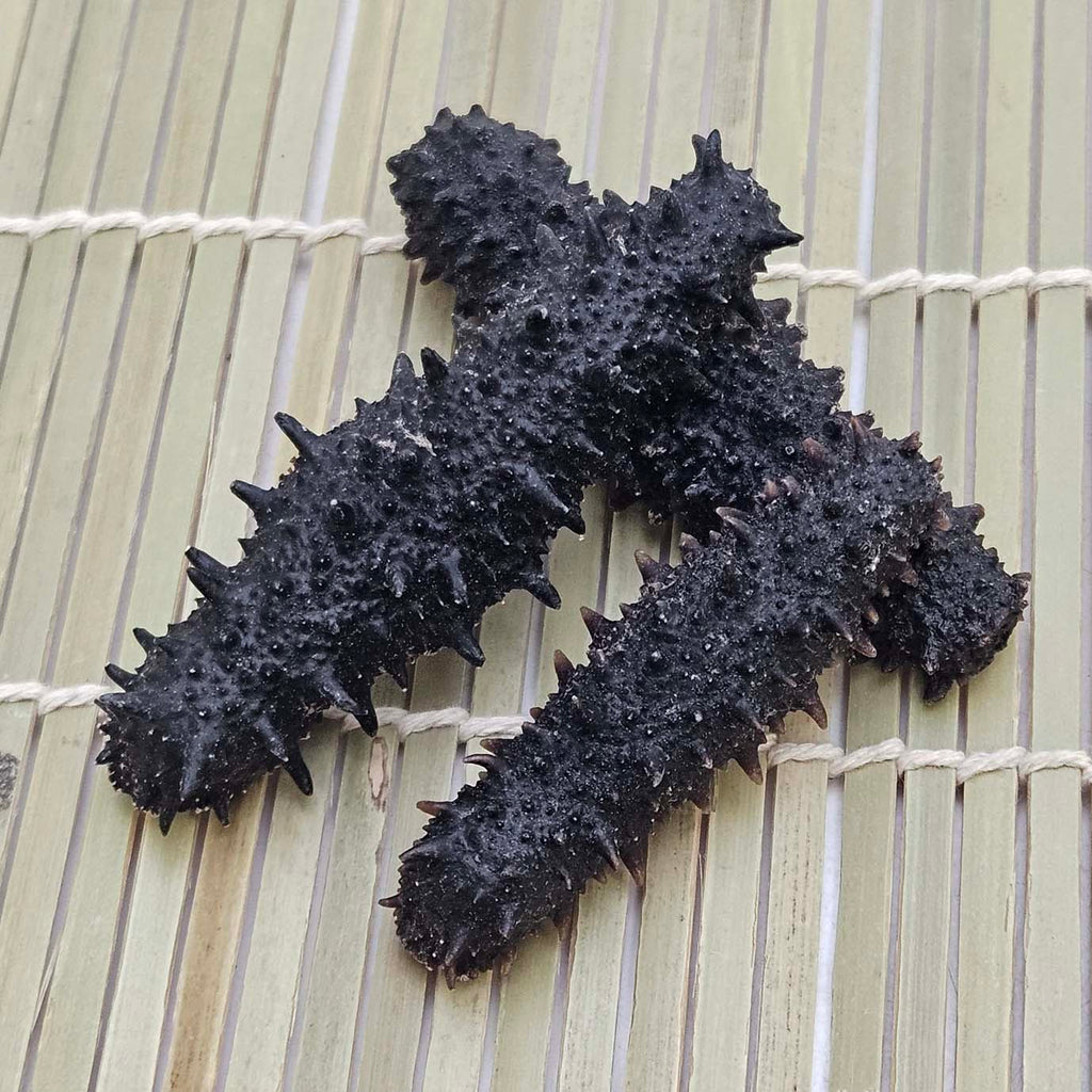 Wild Dried Prickly Sea Cucumber from South Korea (East Sea)-Po Wing Online-Po Wing Online