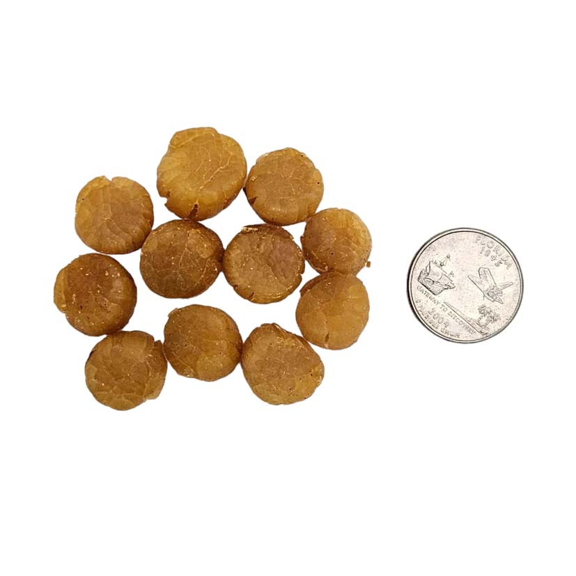 Dried Scallop from DaLian-Po Wing Online-Po Wing Online