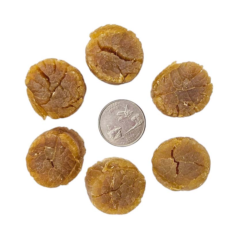 Dried Scallop from Japan (Large)-Po Wing Online-Po Wing Online