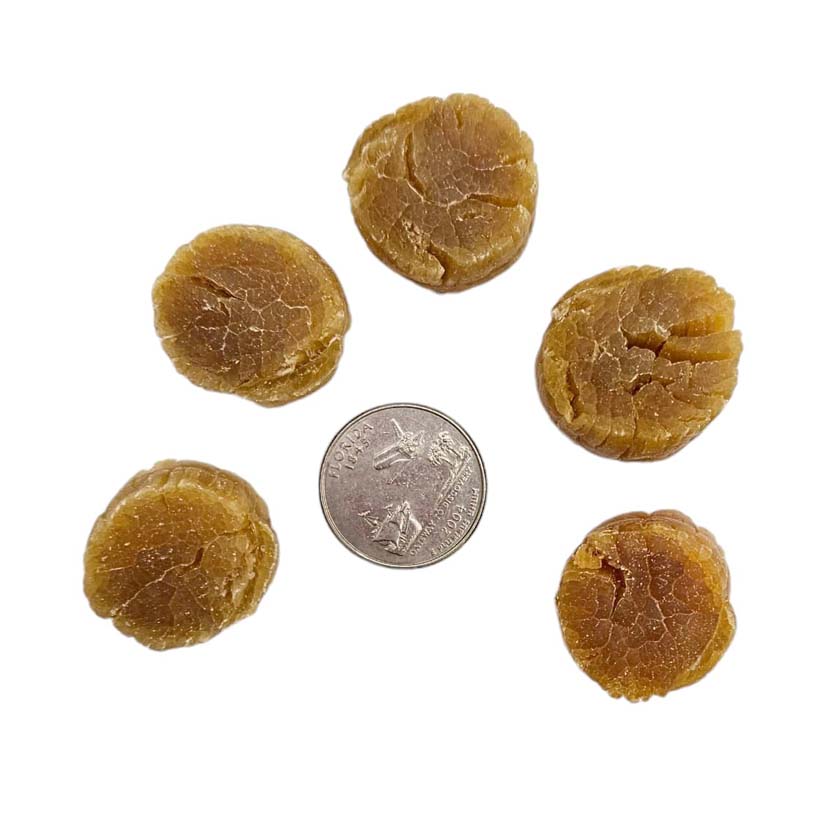 Dried Scallop from Japan (Medium)-Po Wing Online-Po Wing Online