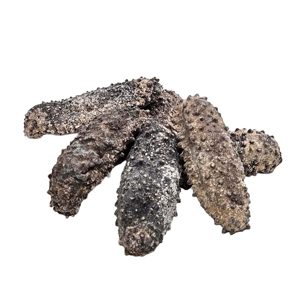 Dried Sea Cucumber From Mexico (Gui Dao Cen)-Po Wing Online-Po Wing Online