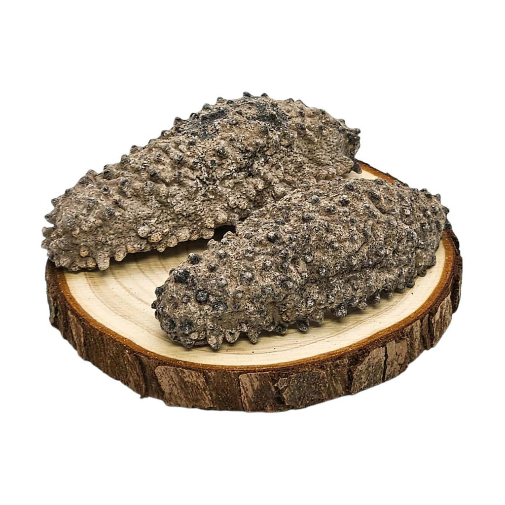 Dried Sea Cucumber From Mexico (Gui Dao Cen)-Po Wing Online-Po Wing Online