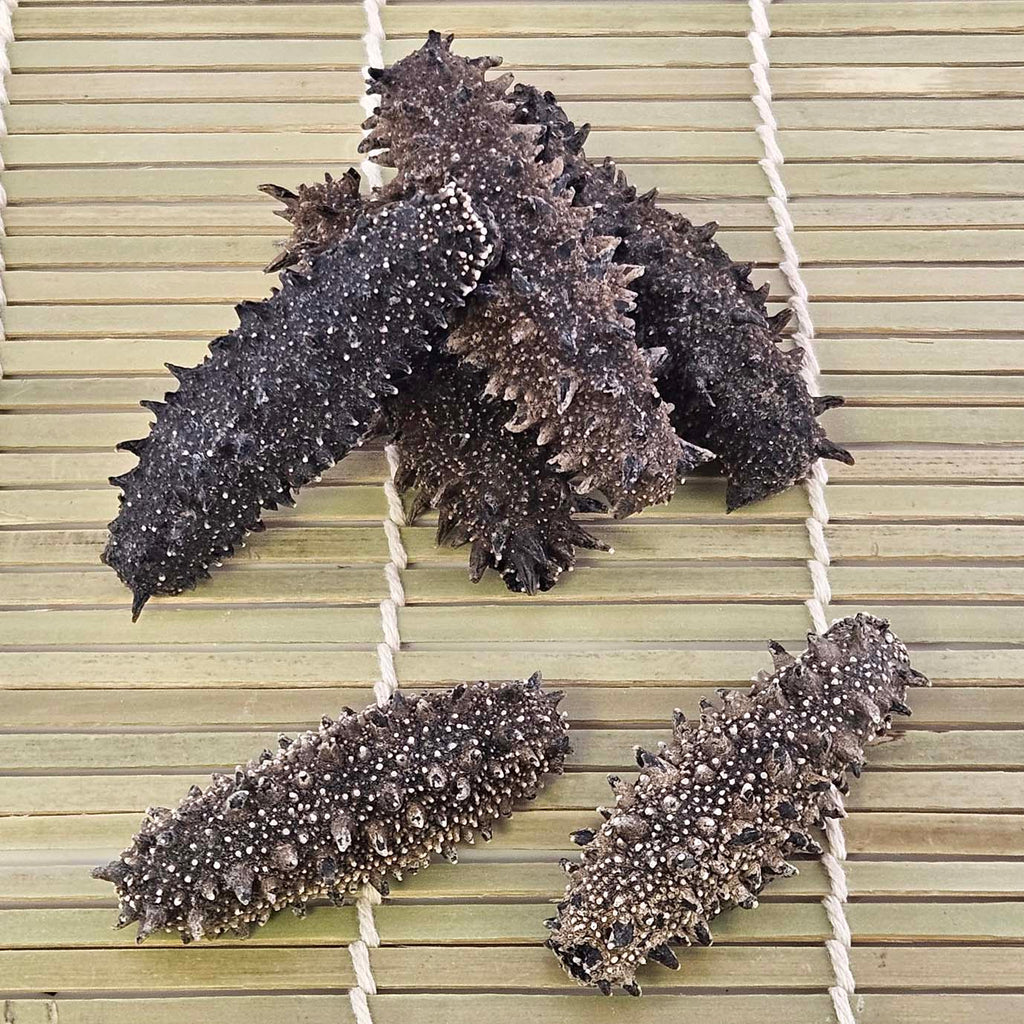 Dried Sea Cucumber from Japan (Kanto) 40-45 pcs-Po Wing Online-Po Wing Online