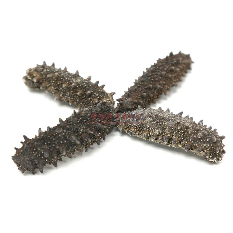 Dried Sea Cucumber from Japan (Kanto) 40-45 pcs-Po Wing Online-Po Wing Online