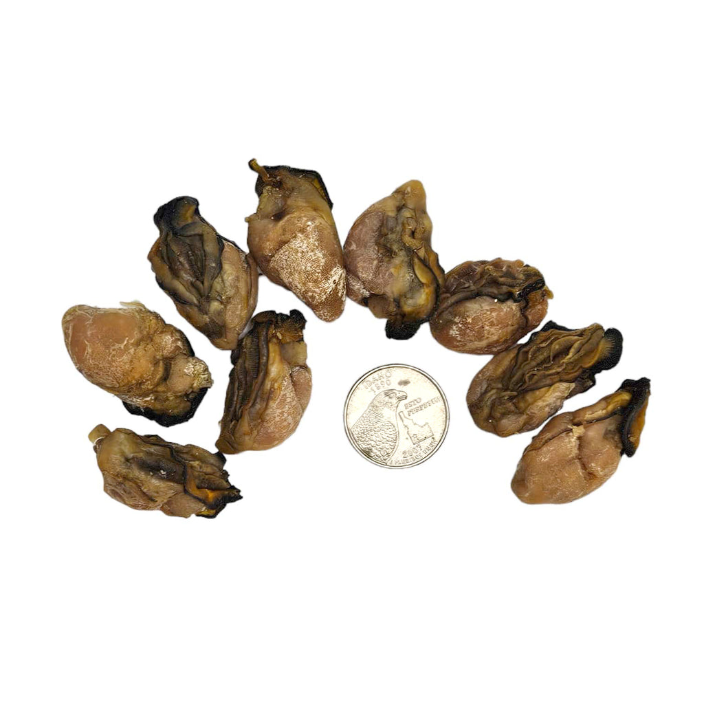 Dried Oyster (M)-Po Wing Online-Po Wing Online