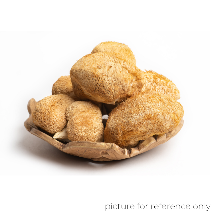 Lion's Mane Mushroom (Hou Tou Gu)