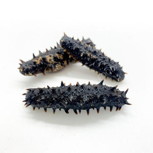 Dried Sea Cucumber From East (South Korea) #36022-Po Wing Online-Po Wing Online