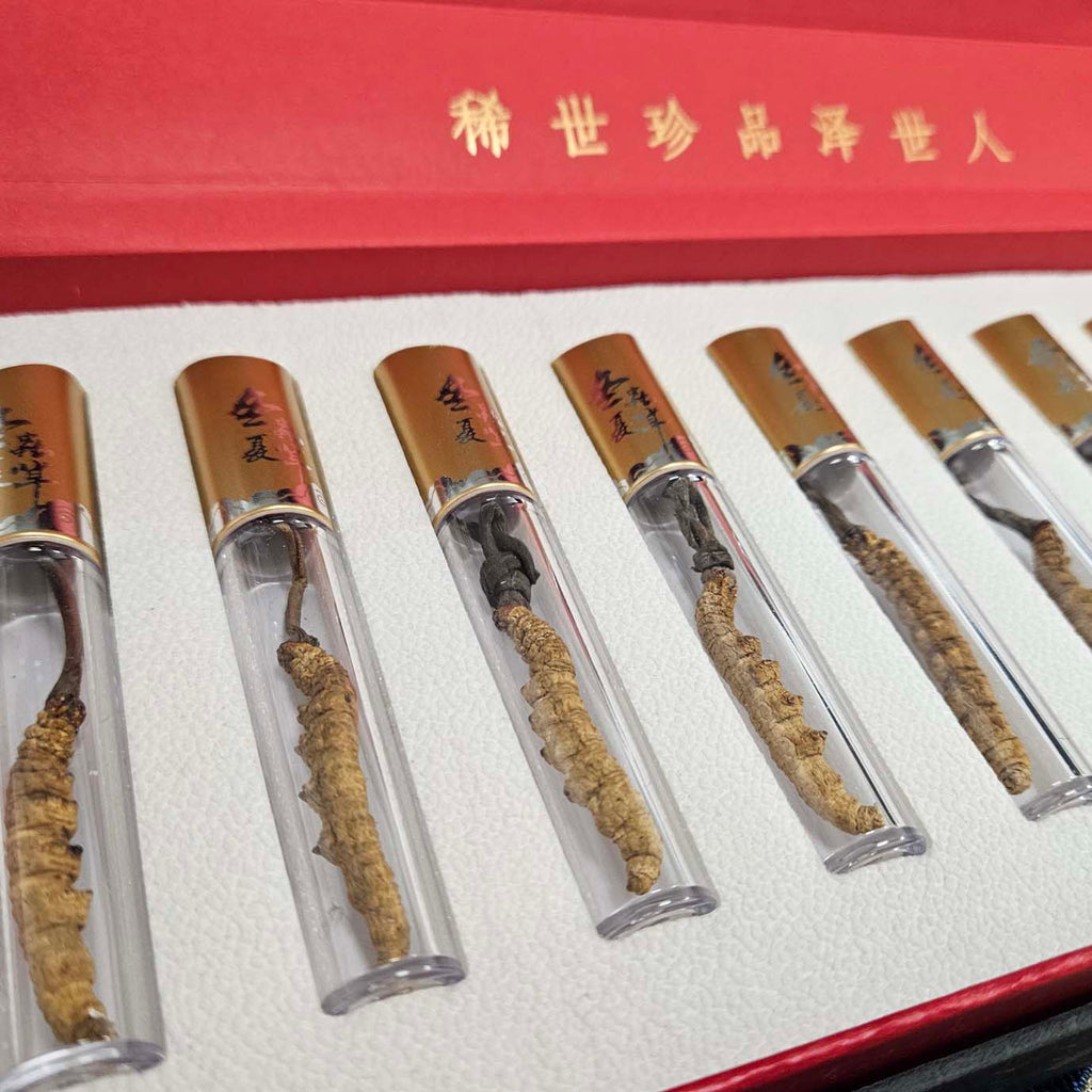 Premium Dried Cordyceps Gift Box (Dong Chong Xia Cao)-Po Wing Online-Po Wing Online
