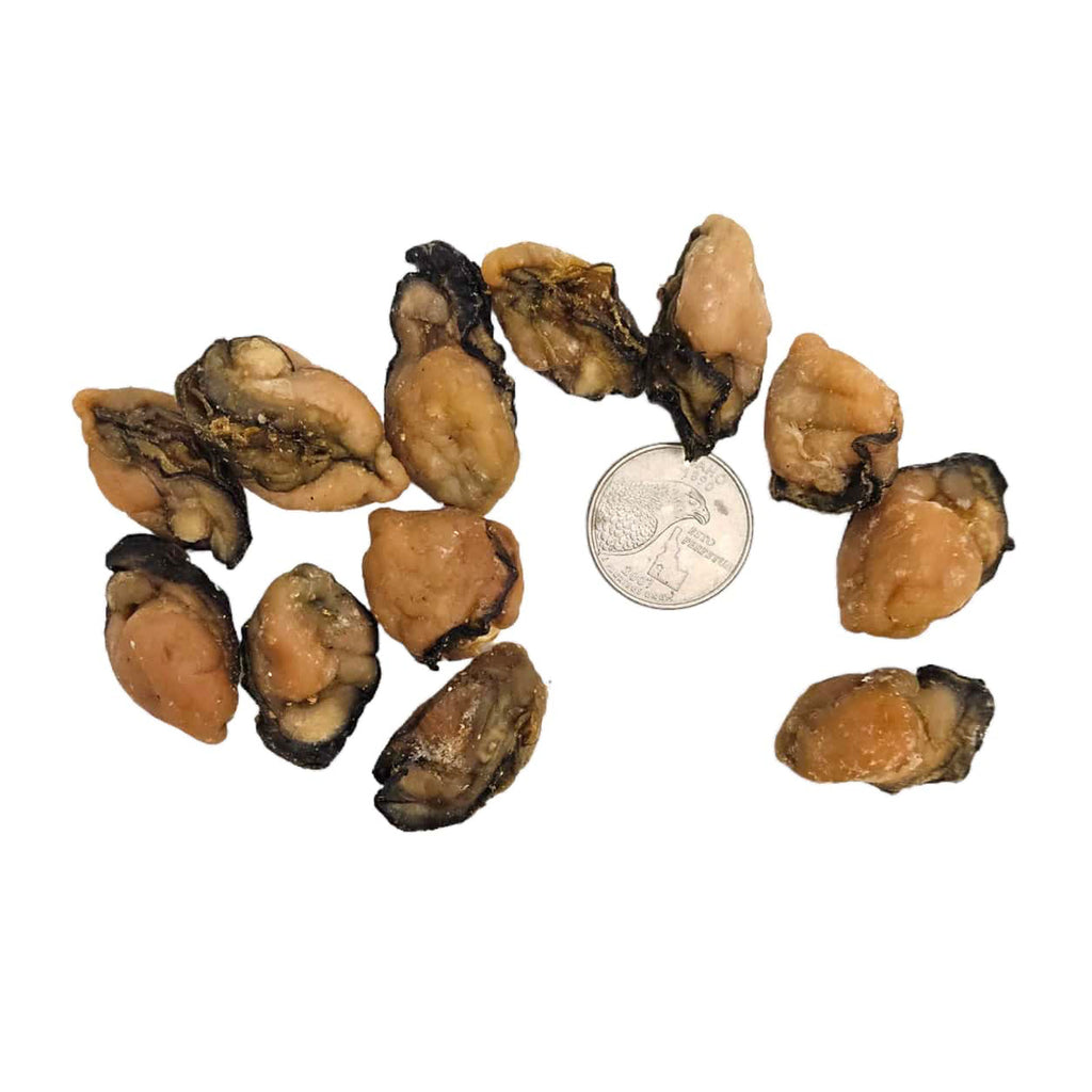 Premium Dried Oyster From China