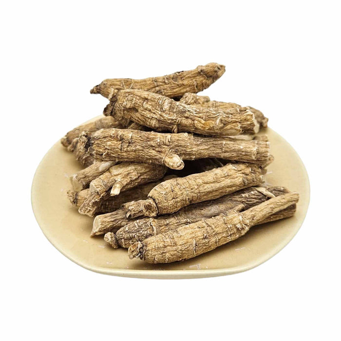 Wisconsin Ginseng Root Twig (M)