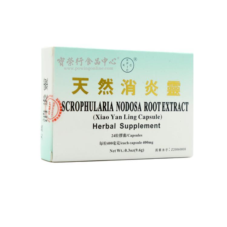 GUANG ZHOU Scrophularia Nodosa Root Extract (Xiao Yan Ling Capsule)-GUANG ZHOU-Po Wing Online
